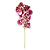 Haste Orquídea 78cm - Branco com Bordo - Imagem 1