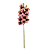 Haste Orquídea Cymbidium 3D 68cm - Rosa 2 tons - Imagem 1