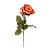 Haste Rosa 70cm - Imagem 4