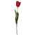 Haste Tulipa Natural 65cm - Vermelha - Imagem 1