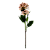 Haste Sementes 55cm - Imagem 3