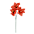 Haste Dalia X3 30cm - Imagem 2