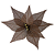 Haste Poinsenttia Marron - Imagem 1