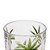Conjunto 6 Copos Baixo Palm Tree Handpaint 340ml Cristal Ecológico - Wolff - Imagem 6
