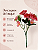 Buquê Floral Mini Margarida X5 Pink Para Vaso E Arranjos - Imagem 7