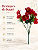 Buquê Floral Mini Margarida X5 Vermelho Para Vaso E Arranjos - Imagem 7