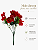 Buquê Floral Mini Margarida X5 Vermelho Para Vaso E Arranjos - Imagem 4