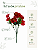 Buquê Floral Mini Margarida X5 Vermelho Para Vaso E Arranjos - Imagem 3