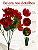 Buquê Floral Mini Margarida X5 Vermelho Para Vaso E Arranjos - Imagem 5
