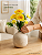 Buquê Floral Mini Margarida X5 Amarelo Para Vaso E Arranjos - Imagem 2