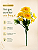 Buquê Floral Mini Margarida X5 Amarelo Para Vaso E Arranjos - Imagem 6