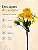 Buquê Floral Mini Margarida X5 Amarelo Para Vaso E Arranjos - Imagem 7