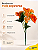 Buquê Floral Mini Margarida X5 Laranja Para Vaso E Arranjos - Imagem 3