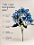 Buquê De Dália Azul X5 Para Arranjos Decorativos - Imagem 5