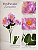 Buquê De Dália Lilas X5 Para Arranjos Decorativos - Imagem 3