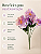 Buquê De Dália Lilas X5 Para Arranjos Decorativos - Imagem 6