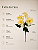 Buquê De Dália Branco e Amarelo X5 Para Arranjos Decorativos - Imagem 4
