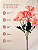 Buquê De Dália Rosa X5 Para Arranjos Decorativos - Imagem 7