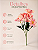 Buquê De Dália Rosa X5 Para Arranjos Decorativos - Imagem 5