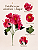 Buquê De Dália Pink X5 Para Arranjos Decorativos - Imagem 3