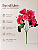 Buquê De Dália Pink X5 Para Arranjos Decorativos - Imagem 6