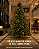 Árvore de Natal Tradicional Imperial 5m 4800 Galhos Verde - Imagem 8