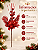 Pick Berry e Bico de Papagaio Glitter Vermelho 36cm Natal - Imagem 2