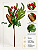 Pick Berry Com Pinha 27cm Vermelho Para Árvore De Natal - Imagem 3