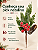 Pick Natalino Berry Com Pinha 34 Cm Vermelho E Verde - Imagem 2