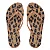 AREZZO BRIZZA Z190260123 CHINELO COFFEE JELLY - Imagem 1
