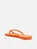 AREZZO A122070005 CHINELO ORANGE - Imagem 2