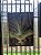 Placa mini para Tillandsia - Imagem 7