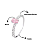 Anel Solitário Oval Rosa em Prata 925 – Elegância e Delicadeza - Imagem 4