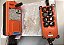 Controle Sem Fio F21-e1b Ponte Rolante Talhas 220v Com Nf - Imagem 3