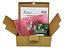 Delta Emv-pg01l Placa Encoder Feedback Inversor Vfd-v / Ve - Imagem 3