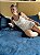 Shortdoll Off-White com poá preto - Imagem 1