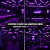 Kit 6 Lâmpadas Tubo Led Colorida T8 18w Roxo Bivolt Decoração - Imagem 2
