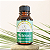 Óleo Essencial Melaleuca 10ml - Accenti - Imagem 3