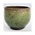 Copo para Espresso Koke Utsuwa (苔器) - Imagem 1