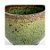 Copo para Espresso Koke Utsuwa (苔器) - Imagem 3