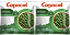Kit 2 Ervilha Congelada 300g Copacol - Imagem 1