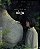 4K UHD + Blu-Ray Okja - Bong Joon Ho - Imagem 1