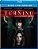 Blu-Ray Os Orfãos | The Turning - Finn Wolfhard - Imagem 1