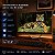 Computador ALL IN ONE 23,8" N5095 RAM 16GB SSD 480GB Windows 11 + Kit Teclado e Mouse sem Fio - Imagem 5