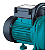 Motobomba Autoaspirante 0,8HP 110V para Irrigação e Drenagem - LEPONO - Imagem 2