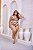 Biquini Valentina 4977 - Imagem 7