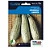 S Abobrinha Caserta 10g  - Topseed - Imagem 1