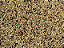 Mistura Para Canario Po Kg - Granel - Imagem 2