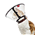 COLAR ELIZABETANO GATO M - Imagem 1