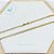 Choker Semijoia Brilhante Delicada Duplo 35cm (dourado) - Imagem 2